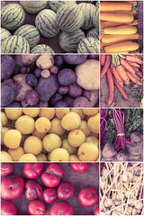 Fruit and Vegetable Collage