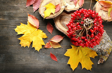 Obraz premium Autumn composition: bunch of viburnum and colourful leaves on wooden table