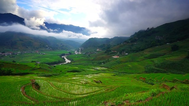 Rice fields on terraced in rainny season at SAPA, Lao Cai, Vietnam. Rice fields prepare for transplant at Northwest Vietnam. movement of clouds