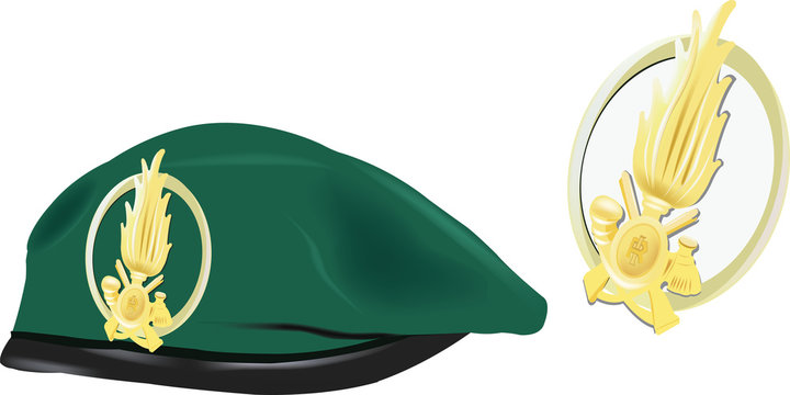 basco verde e fregio della guardia di finanza Stock Vector | Adobe Stock