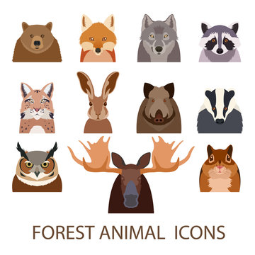 Forest animal flat icons