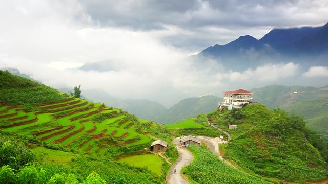 Movement of clouds and fog over rice fields on terraced in rainny season at SAPA, Lao Cai, Vietnam.