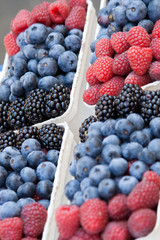 forest berries on the counter market