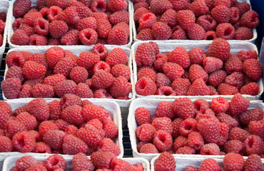 raspberry on the counter market
