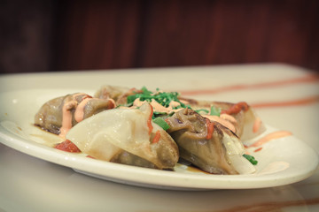Fancy Asian Dumplings