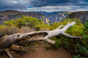 Peel and stick wall murals Canyon Black Canyon of the Gunnison National Park