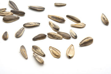 Sunflower Seeds