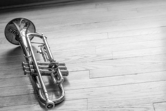 Trumpet Wooden Floor