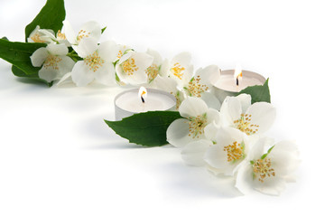 Fresh flowers and leaves of jasmine on a white background