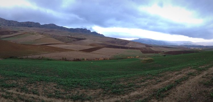 paesaggio rurale