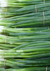 fresh green onions in the boxes on the market chives