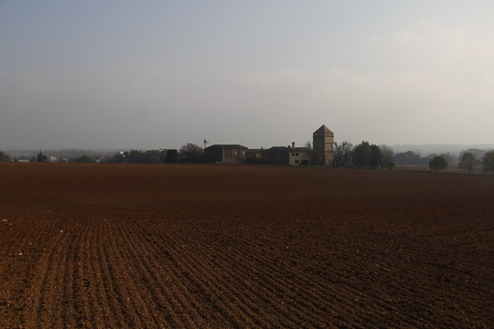 Campo de cereales acabado de sembrar en Riudellots de la Selva (Catalunya)