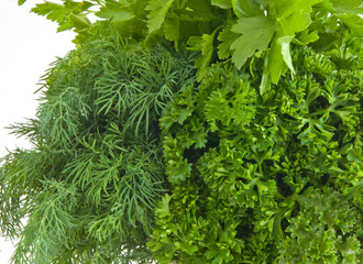 fresh herbs parsley isolated on white