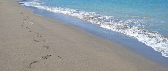 Beach of an island along the ocean