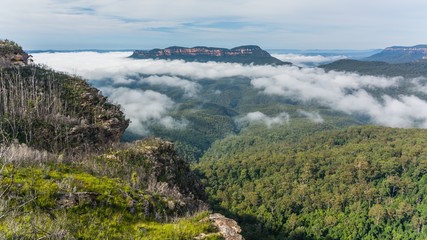 visiting the blue mountains in australia