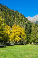 In the Park on the former country of the Soviet leaders ( Stalin