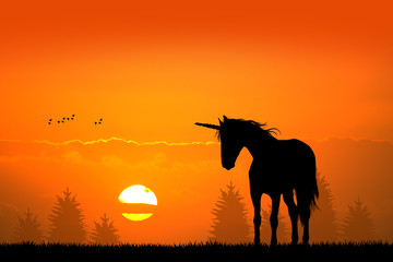 Fototapeta na wymiar unicorn at sunset