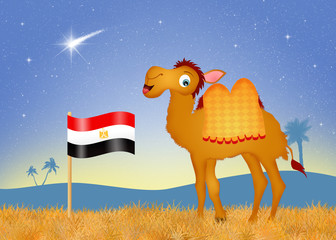 camel with flag Egypt