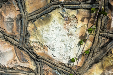 Beautiful stone texture with green plants.