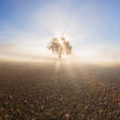 Panorama of sunny and foggy landscape