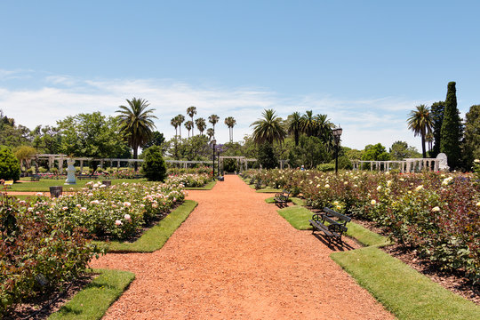 Rose Park (Rosedal), Buenos Aires Argentina