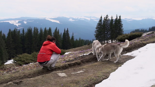 female hiker photographing two husky dogs and landscape in mountains