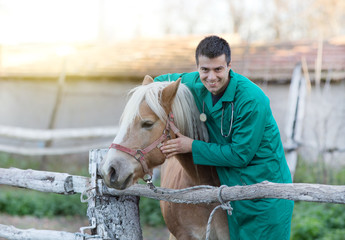 Young smiling veterinarian cuddling horse on the ranch