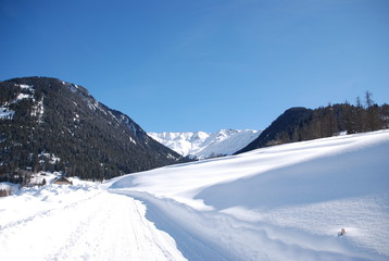 Fototapeta na wymiar Winterwanderweg in Graubünden