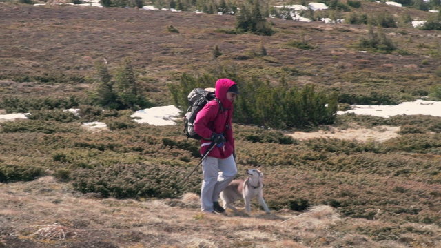 hiker trekking with his husky companion slow motion