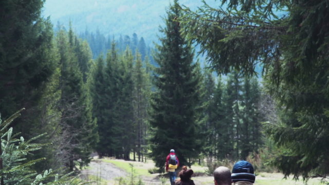 group of travellers trekking in the forest slow motion