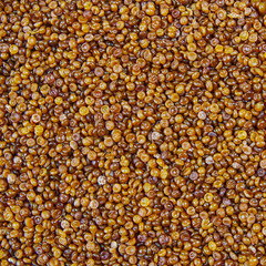 Granulated glue background