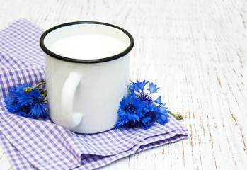 Obraz na płótnie Canvas Cup of milk