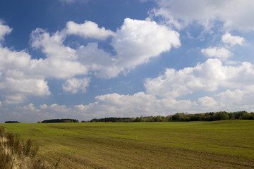 Fototapeta na wymiar Clouds over a green field