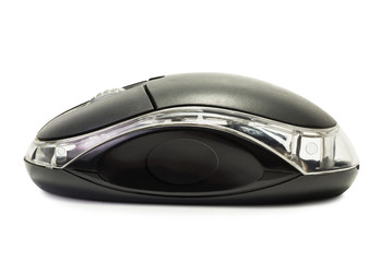 Black mouse