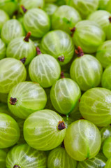 Fresh gooseberry background