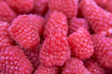 Fresh raspberry background