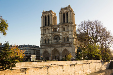 Fototapeta na wymiar The Notre dame cathedral.