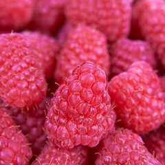 Fresh raspberry background