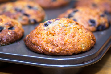 blueberries muffins close up 