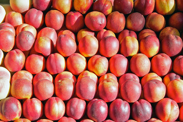 Nectarines for sale at fruit market