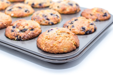 blueberries muffin on a white background 