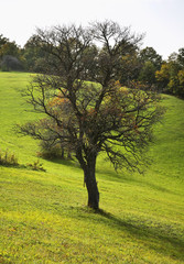 Radan mountain near Prolom Banja.  Serbia
