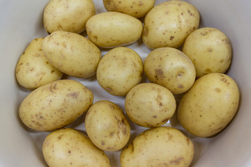 raw potatoes