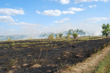 пожар в поле