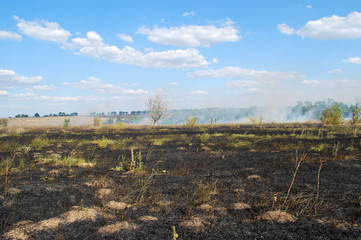 лесной пожар