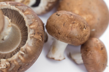 Champignons - fresh mushrooms