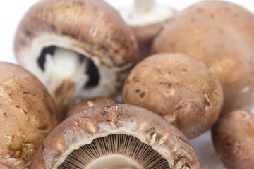 Champignons - fresh mushrooms