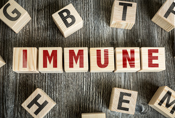 Wooden Blocks with the text: Immune