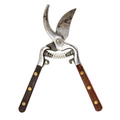pruning scissors