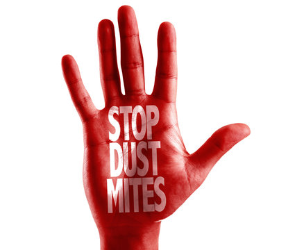 Stop Dust Mites written on hand isolated on white background